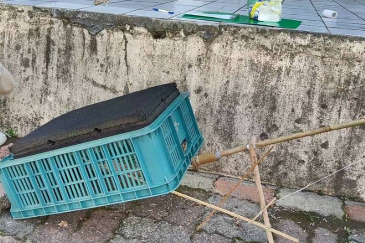 捉貓神器