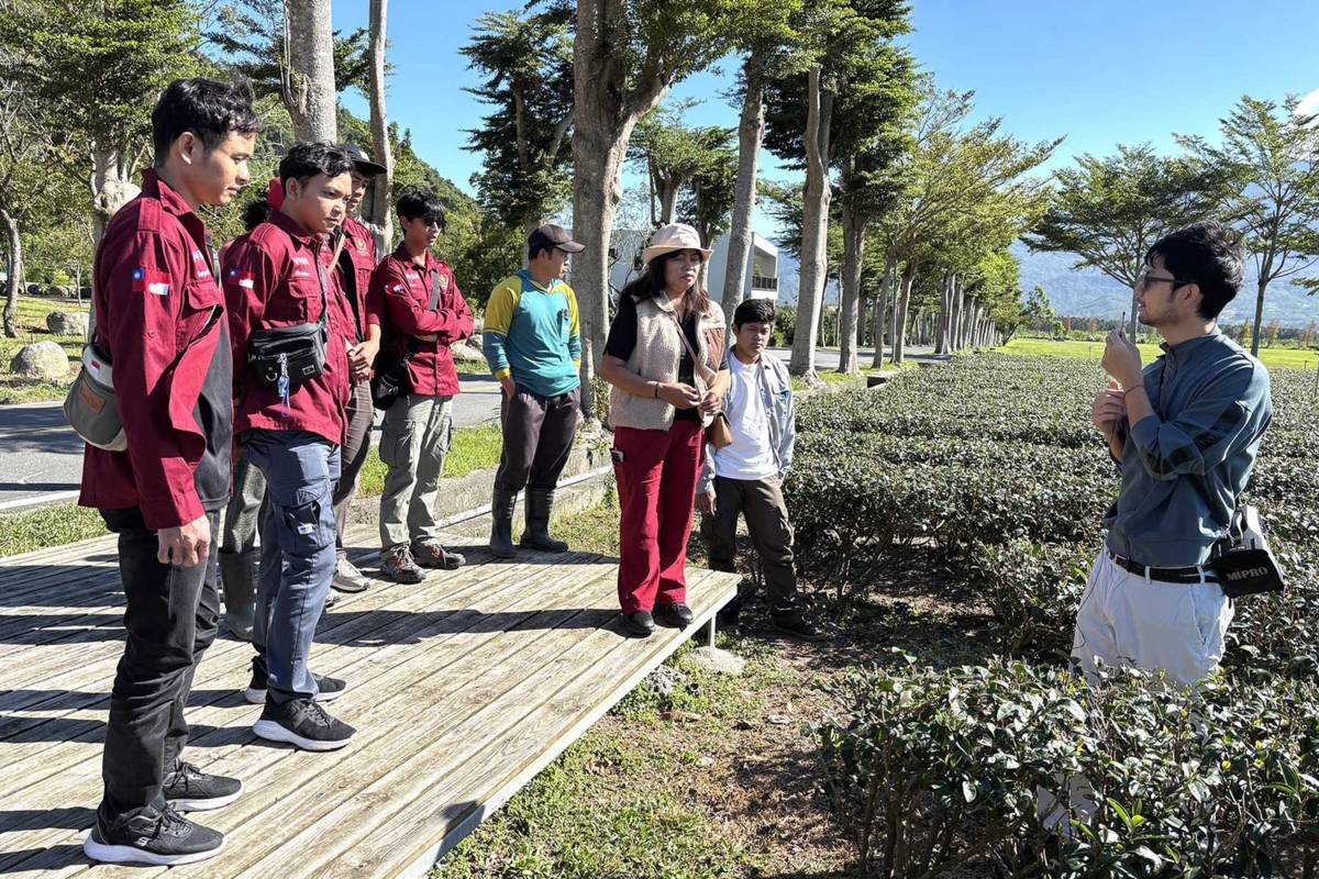 臺東場定期辦理印尼青農交流活動，透過觀摩與技術交流獲得多元農業新知。(農業部臺東區農業改良場提供)