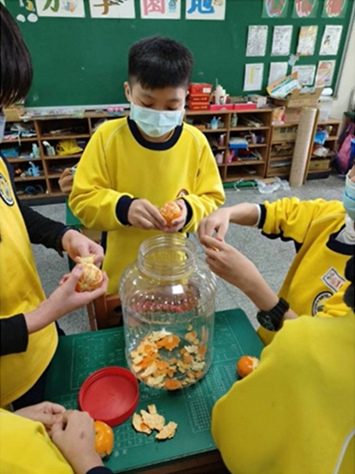 學生蒐集橘子皮放進塑膠桶，準備製作酵素