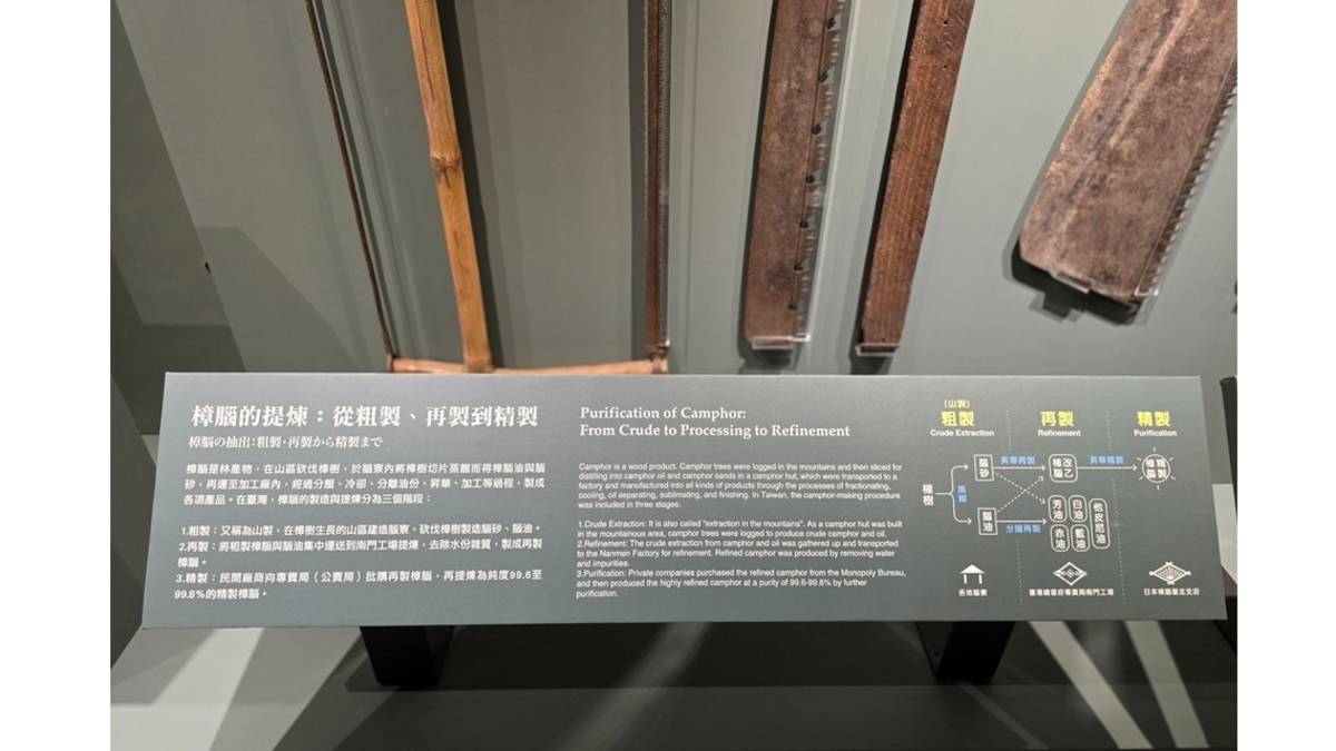 樟腦提練流程