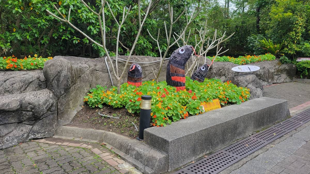 臺北市立動物園赤腹游蛇裝置藝術