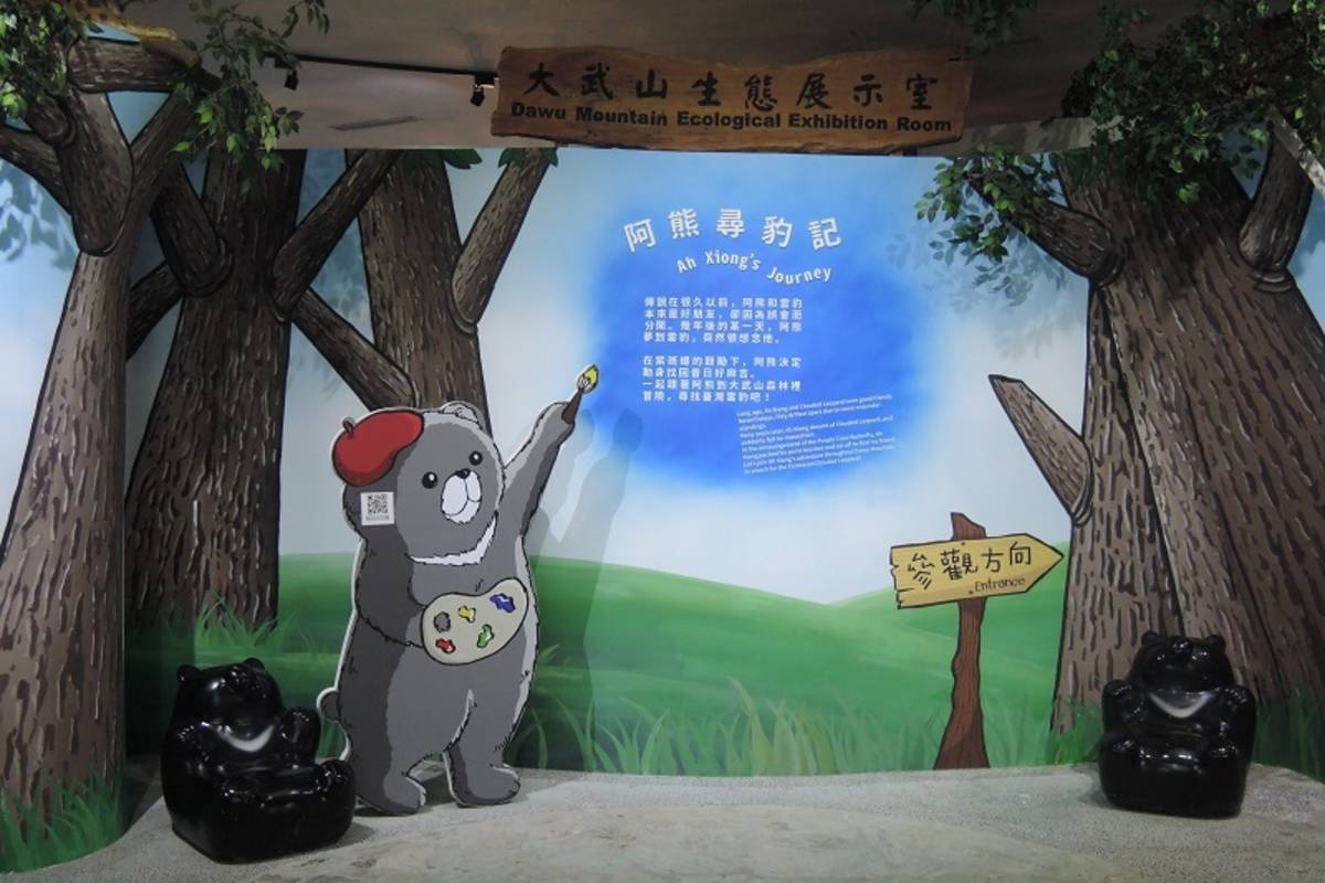 2F 生態展示室，跟著阿熊尋豹記，探索大武山的樣貌。/圖片取自:台灣山林悠遊網