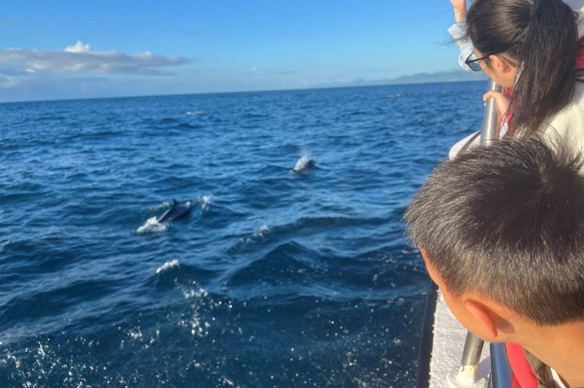 北市南湖國小親子之旅出海賞鯨豚

