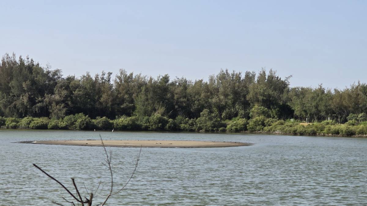 水鳥棲息的小沙洲