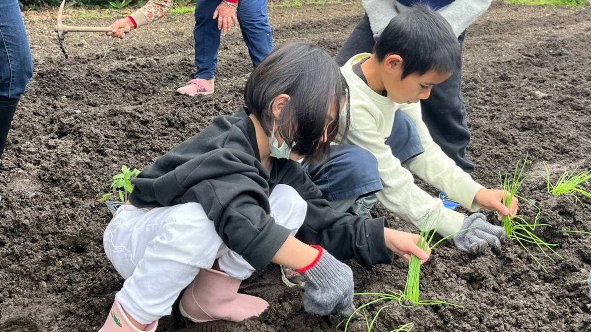 樟原國小食農教育-野菜課程