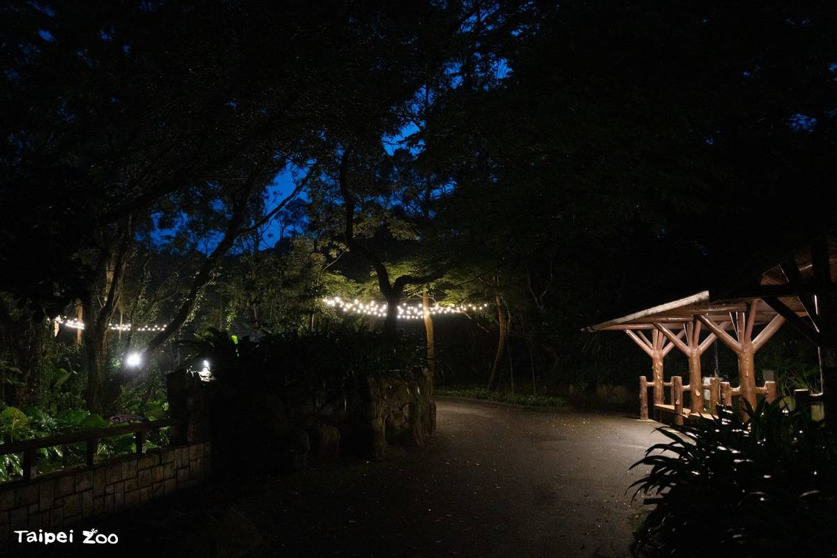 民眾在週六延長開放的傍晚，帶著點心和野餐墊到沙漠澳洲動物區，和看星星