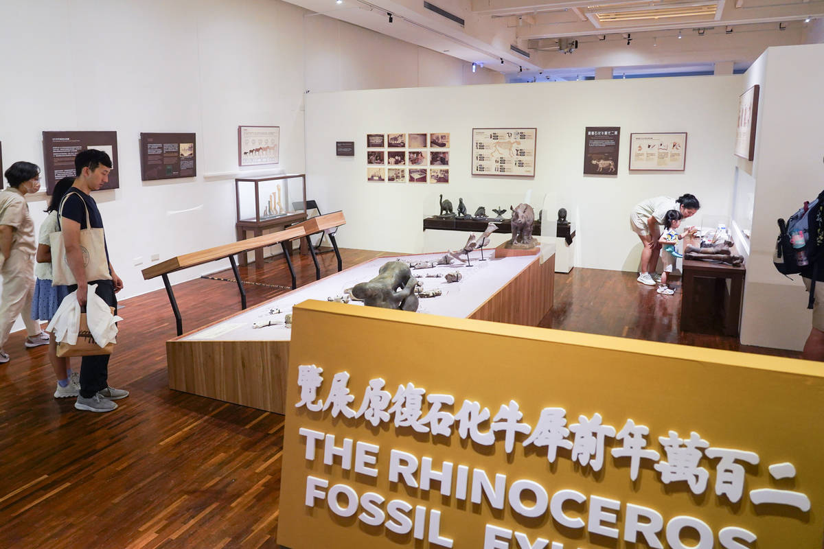 臺灣有犀特展重現50年前經典特展場景(臺博館提供)