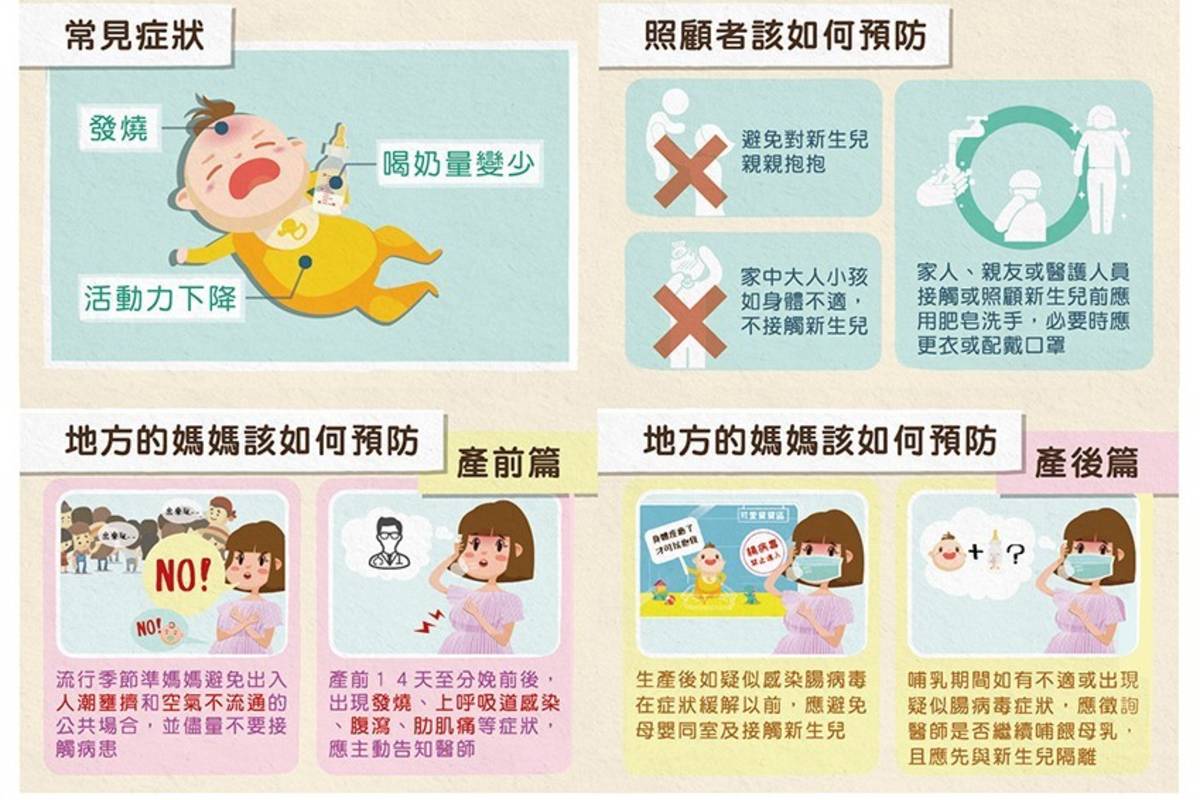 防範新生兒腸病毒感染 腸病毒衛教圖