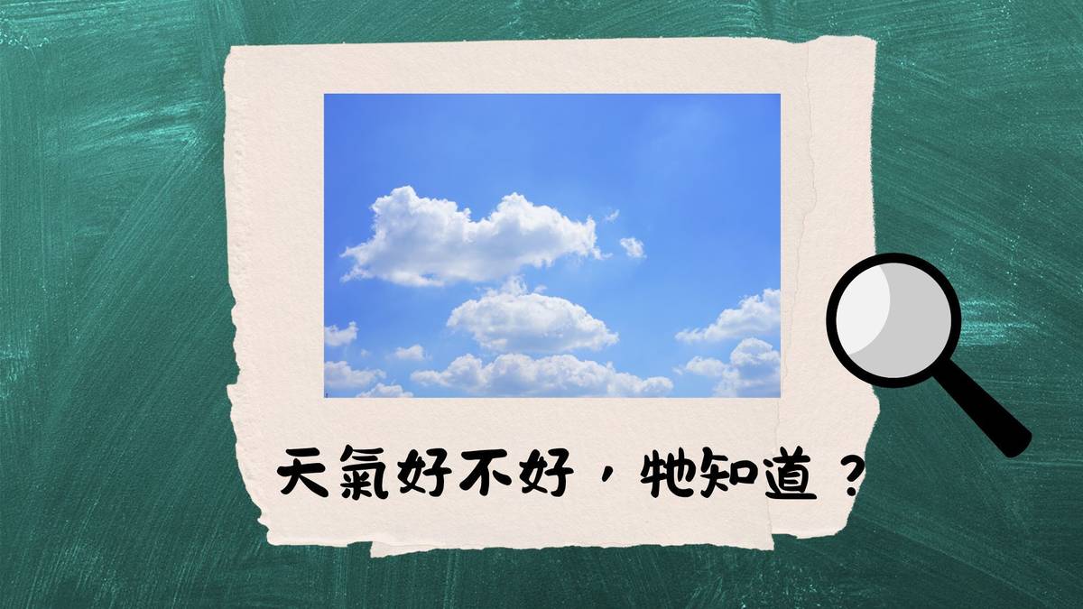 天氣好不好，問牠最知道？--古人怎麼預測天氣？