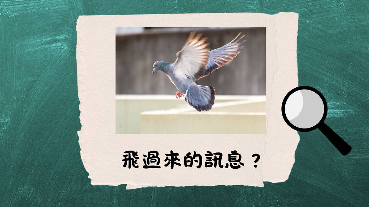 飛過來的訊息？--古人傳遞消息的妙招
