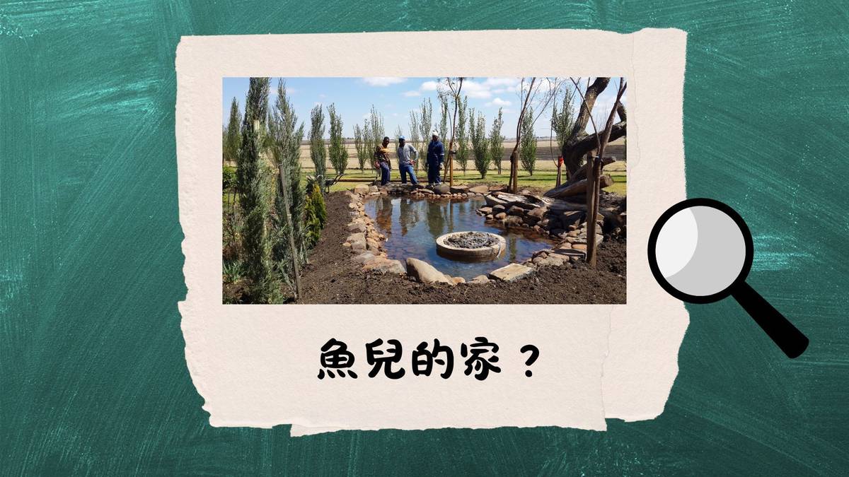魚兒的家？--古人養魚怎麼做