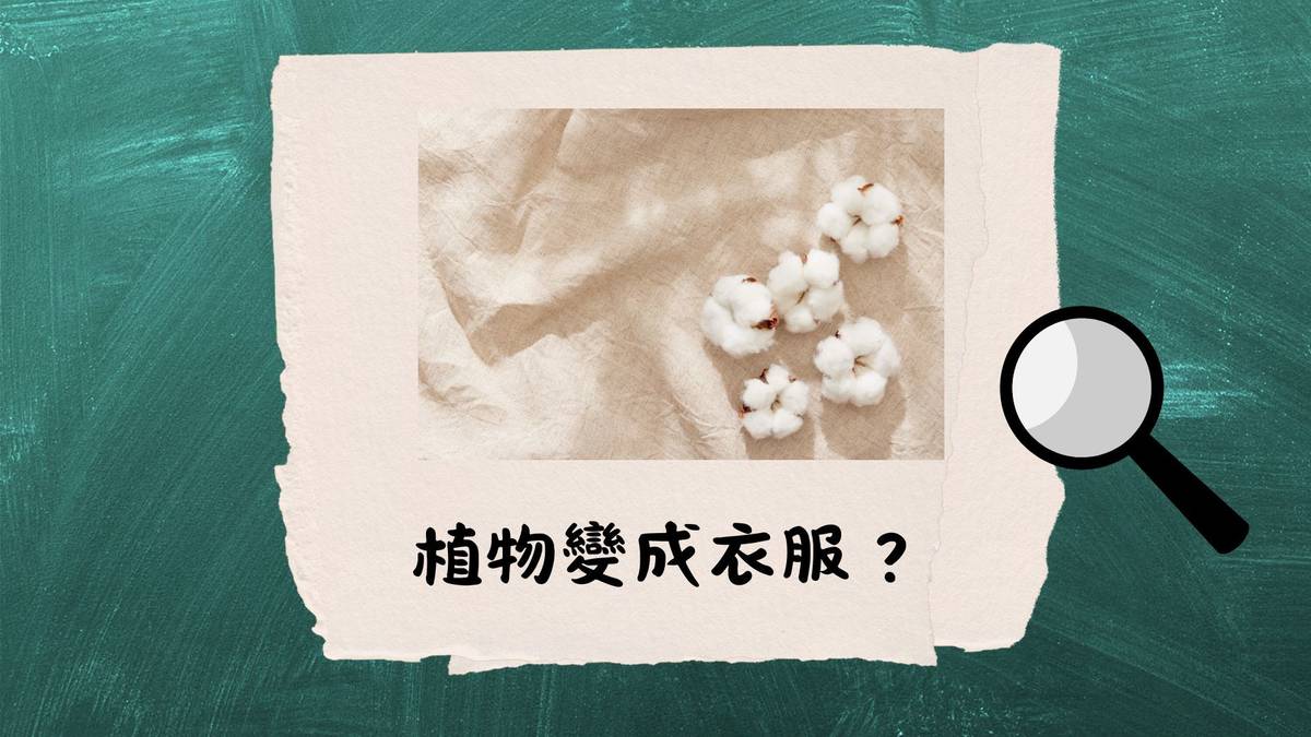 植物變成衣服？--古人遮體保暖的好方法