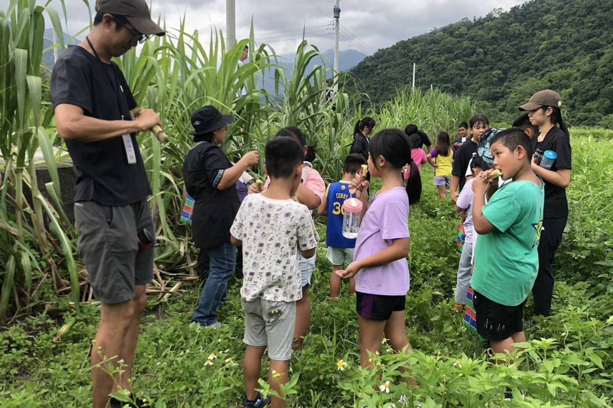 學童走進農園認識食物原型