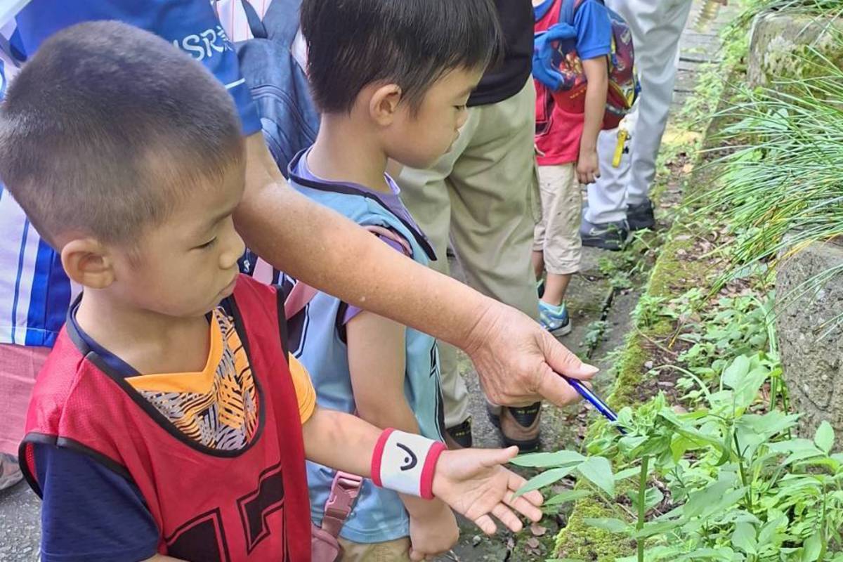 長者指導學童認識野菜