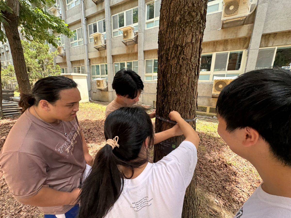 桃園高中進行樹木固碳調查