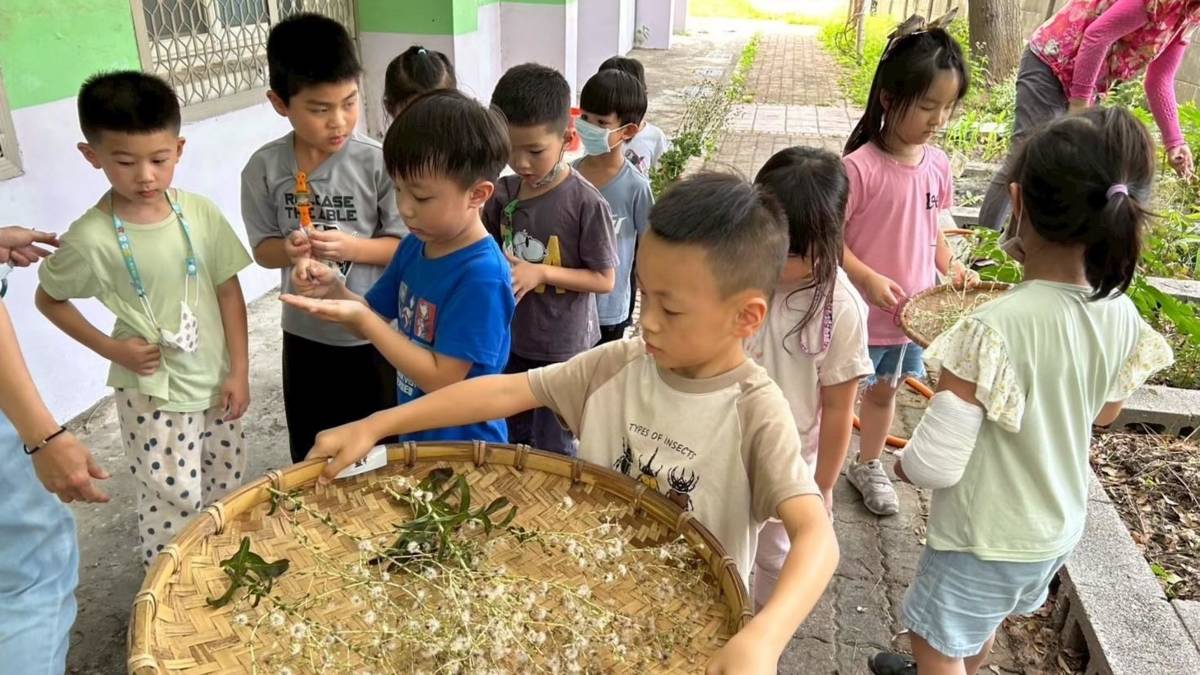 湖南非營利幼兒園