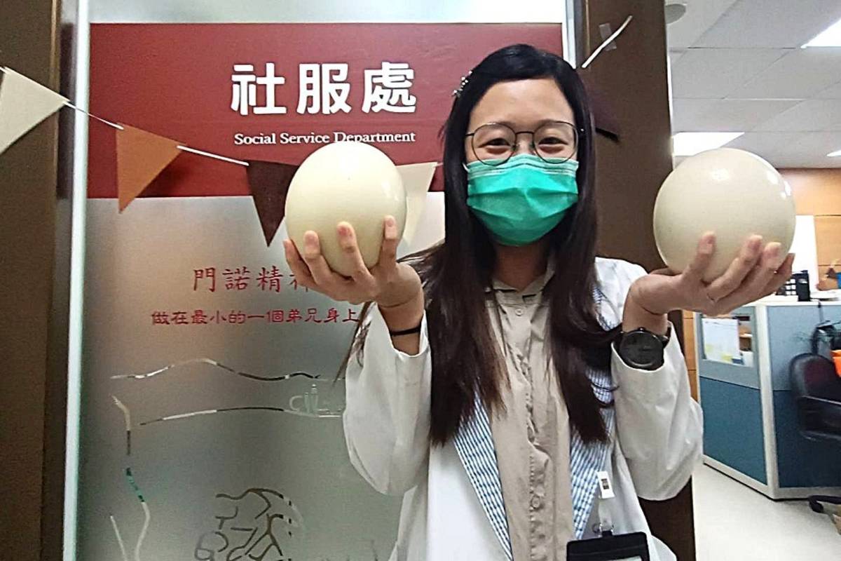 社工獲贈3公斤鴕鳥蛋