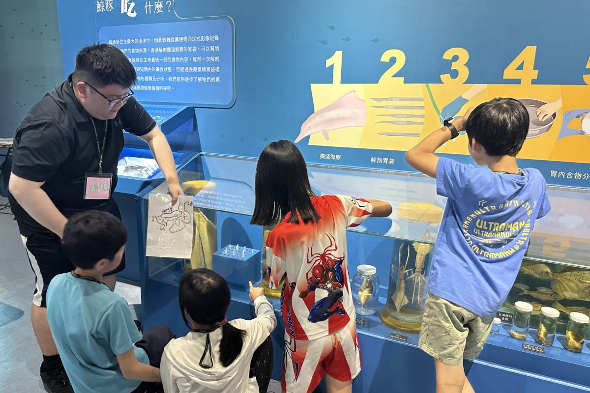 學員於台中科博館學習鯨豚在海中的最後一餐吃了哪些東西。(海科館提供)