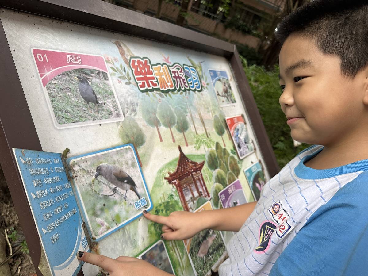 樂利國小生態閱讀樂利飛羽閱世界
