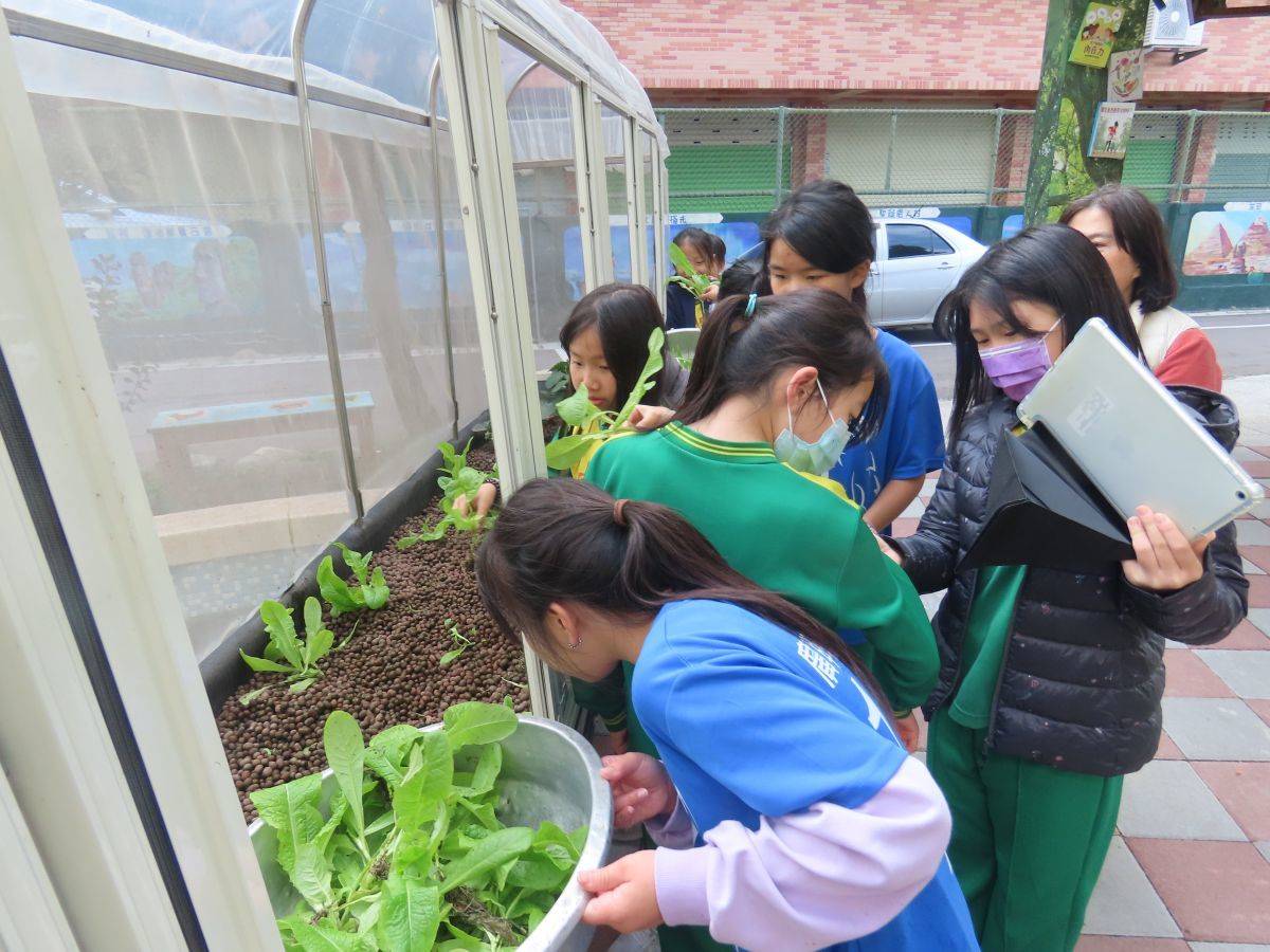 廣興國小打造高架種植及魚菜共生區，讓學生體驗不一樣的種植方式