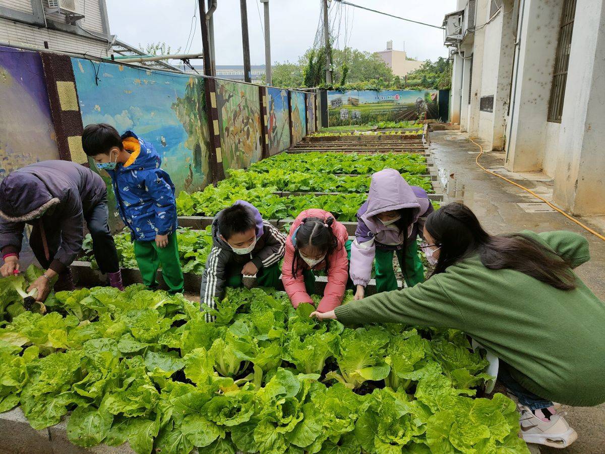 廣興國小活化閒置土地，規劃各班種植區