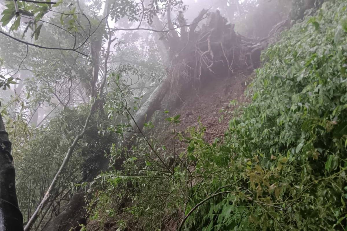 北大武山受創嚴重 暫停開放時間延至12/31