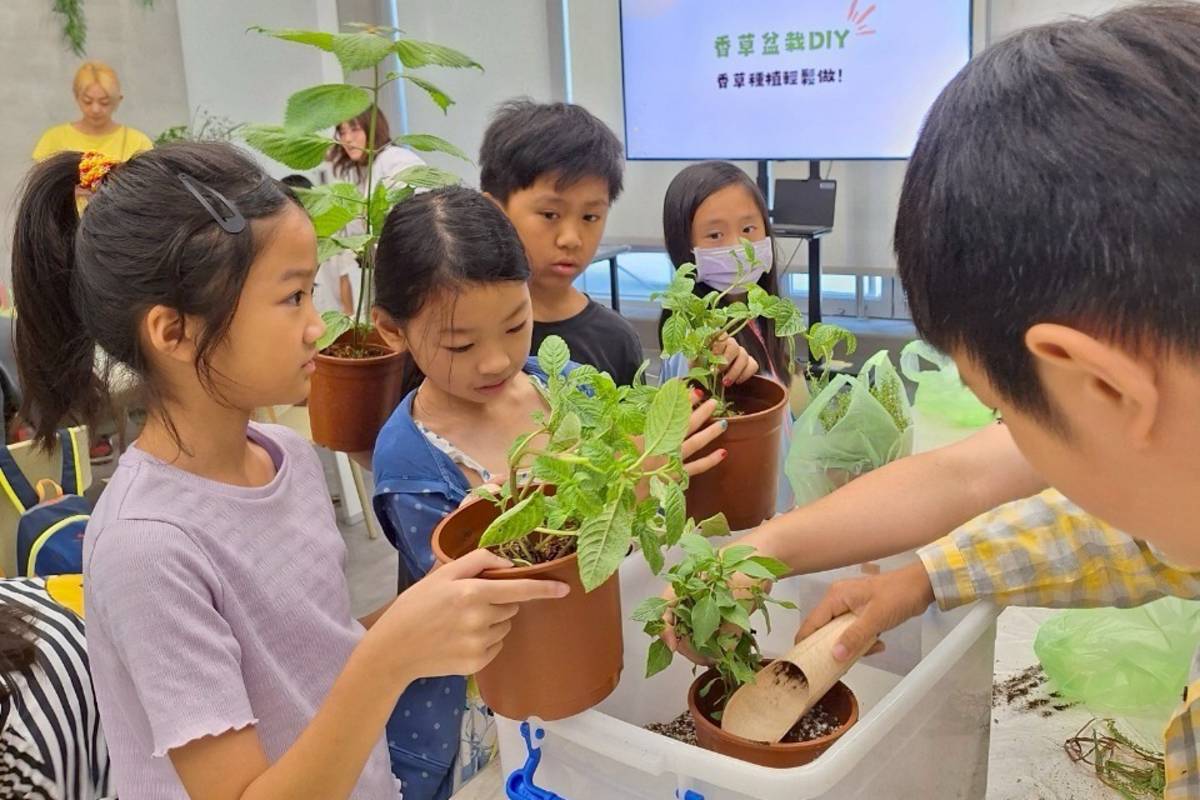 從香草田到潮間帶  灃食食育營提供食育新解方