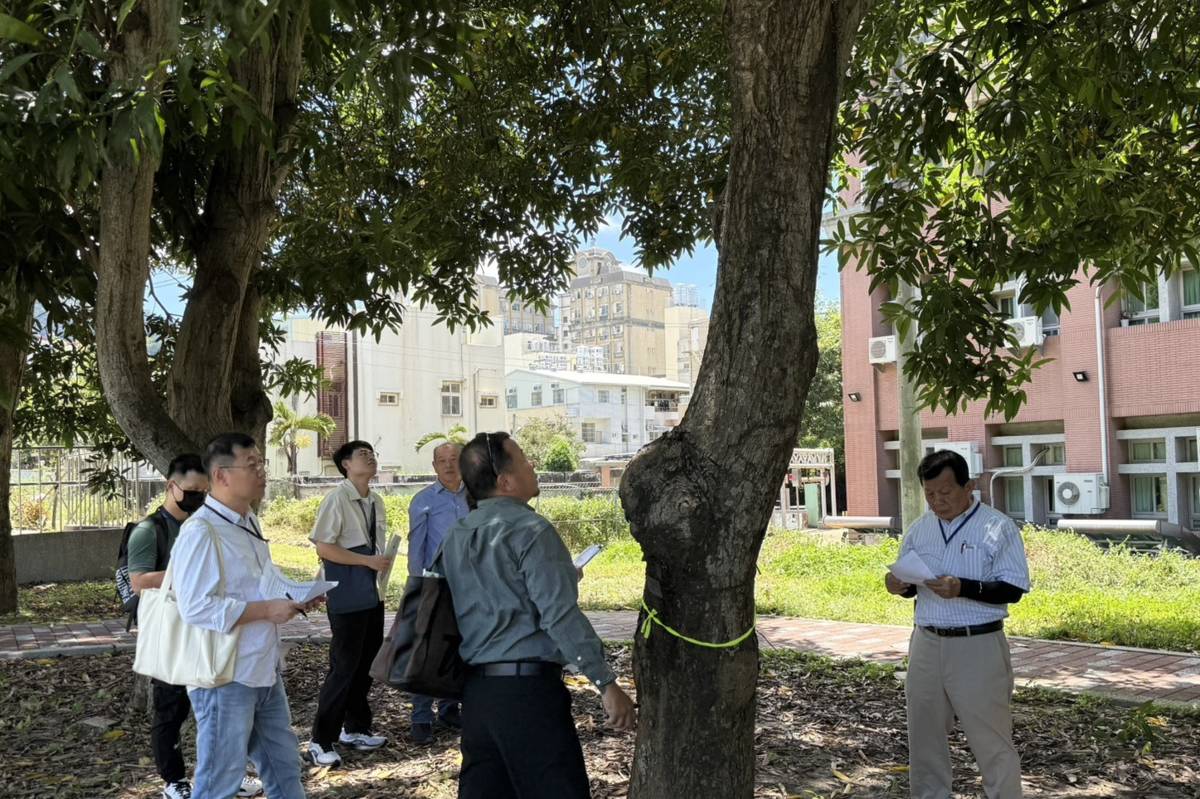 勤益教師加入診斷校園的樹木健康度（圖:勤益科大提供）