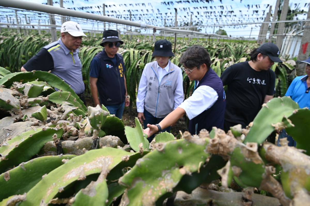 臺東縣長饒慶鈴、立委黃建賓、議長吳秀華和市長陳銘風一起前往農友果園，實地勘查災情。
