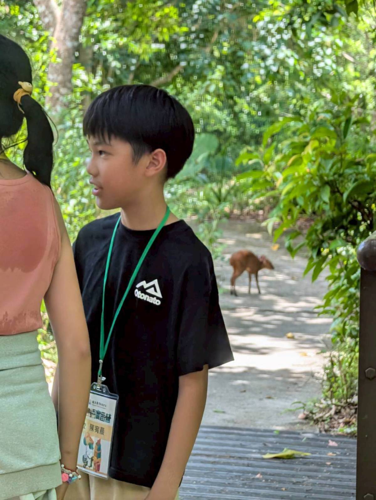 害羞的山羌就這樣默默出現在孩子背後