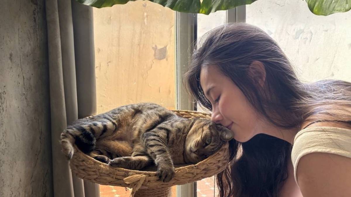 圖3-3寵物溝通師Fion