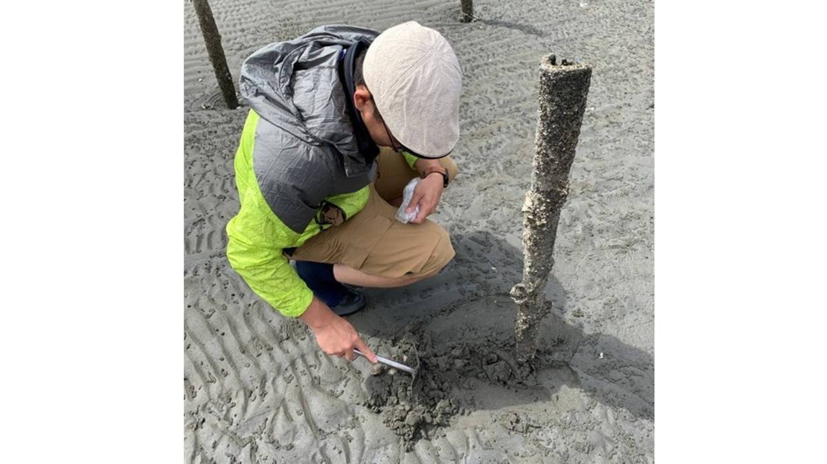 在海岸潮間帶進行生物觀察(陳均龍研究員提供)