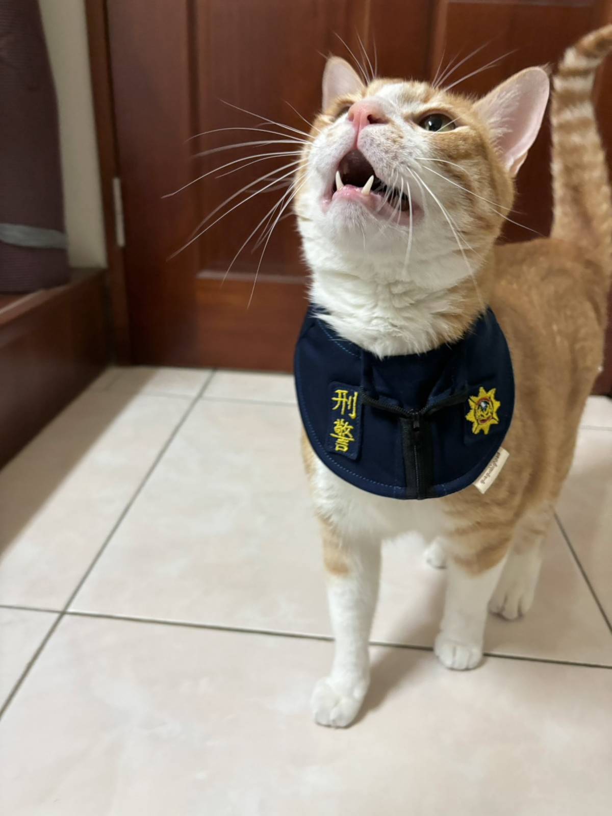 玖陶刑警