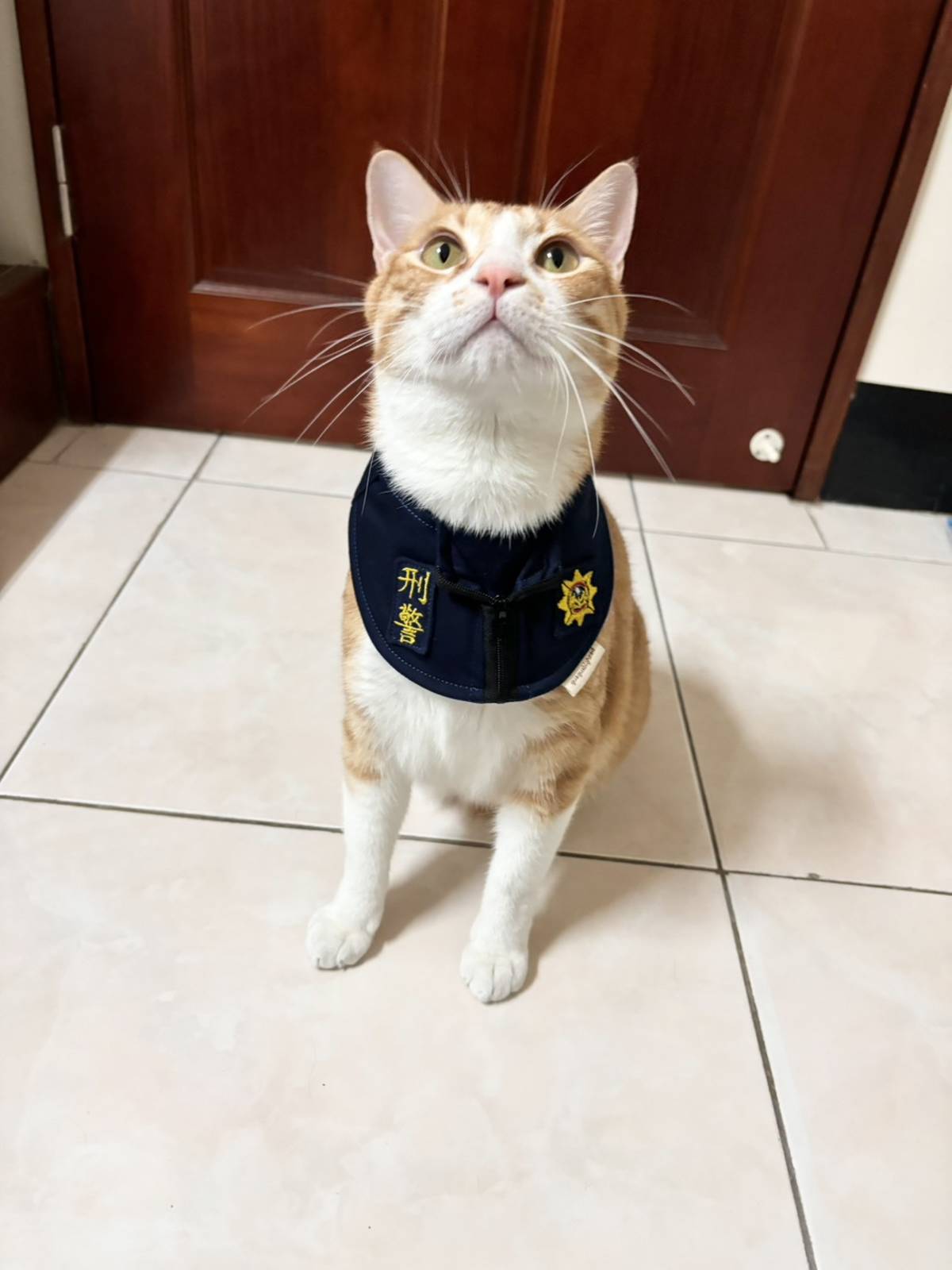 玖陶刑警