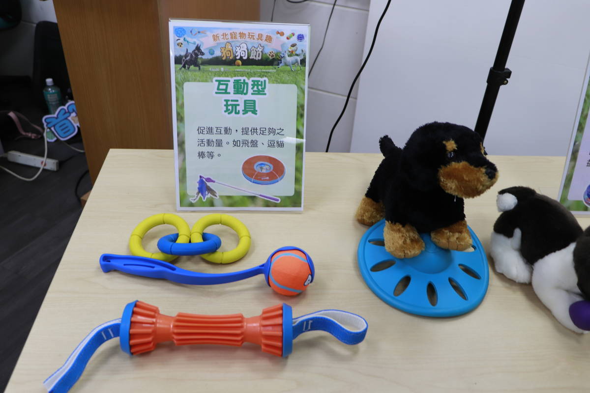 互動型益智玩具