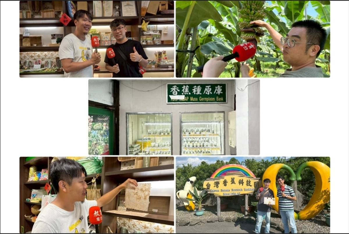 臺東分臺作品從香蕉價格風暴探討香蕉滅絕危機及如何落實永續農業、循環經濟