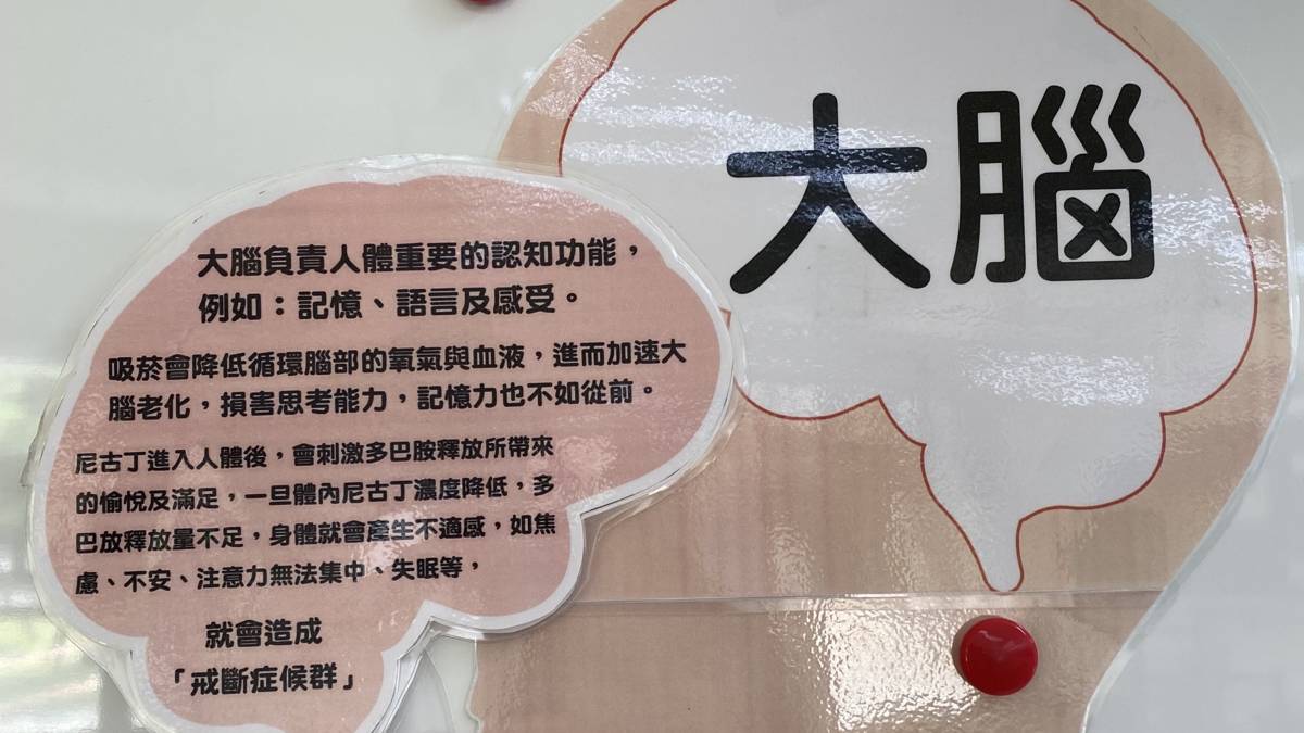 113學年度「健康促進學校輔導計畫前後測成效評價成果報告評選」-特優-新北市海山高級中學-圖文傳達吸菸對身體器官-大腦造成的危害