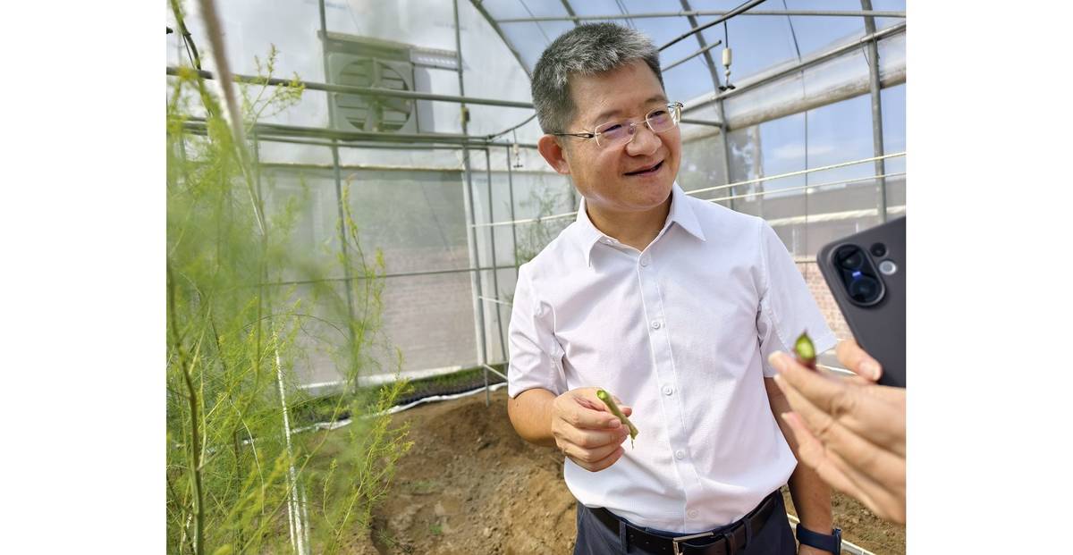 老化到互助的豐碩，培育蘆筍，期待年輕人迴流，指引一條「路」連結世代善緣。
