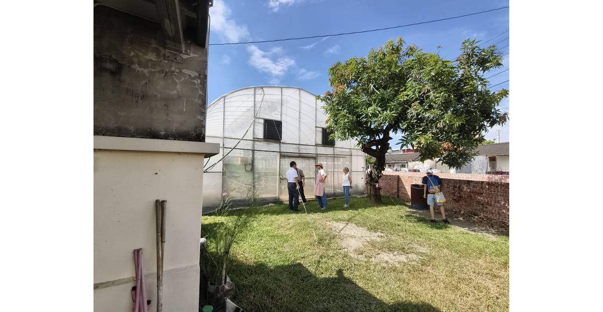 陳梧桐的老家後方，溫室培育蘆筍秘密基地