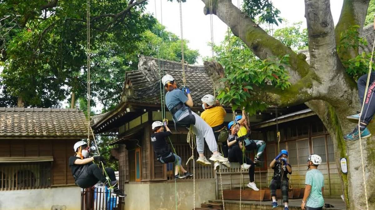 攀樹是具有多元功能的戶外體驗