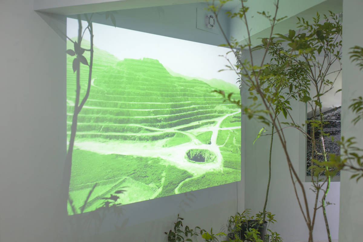 《山水宜花》好地下展覽現場2
