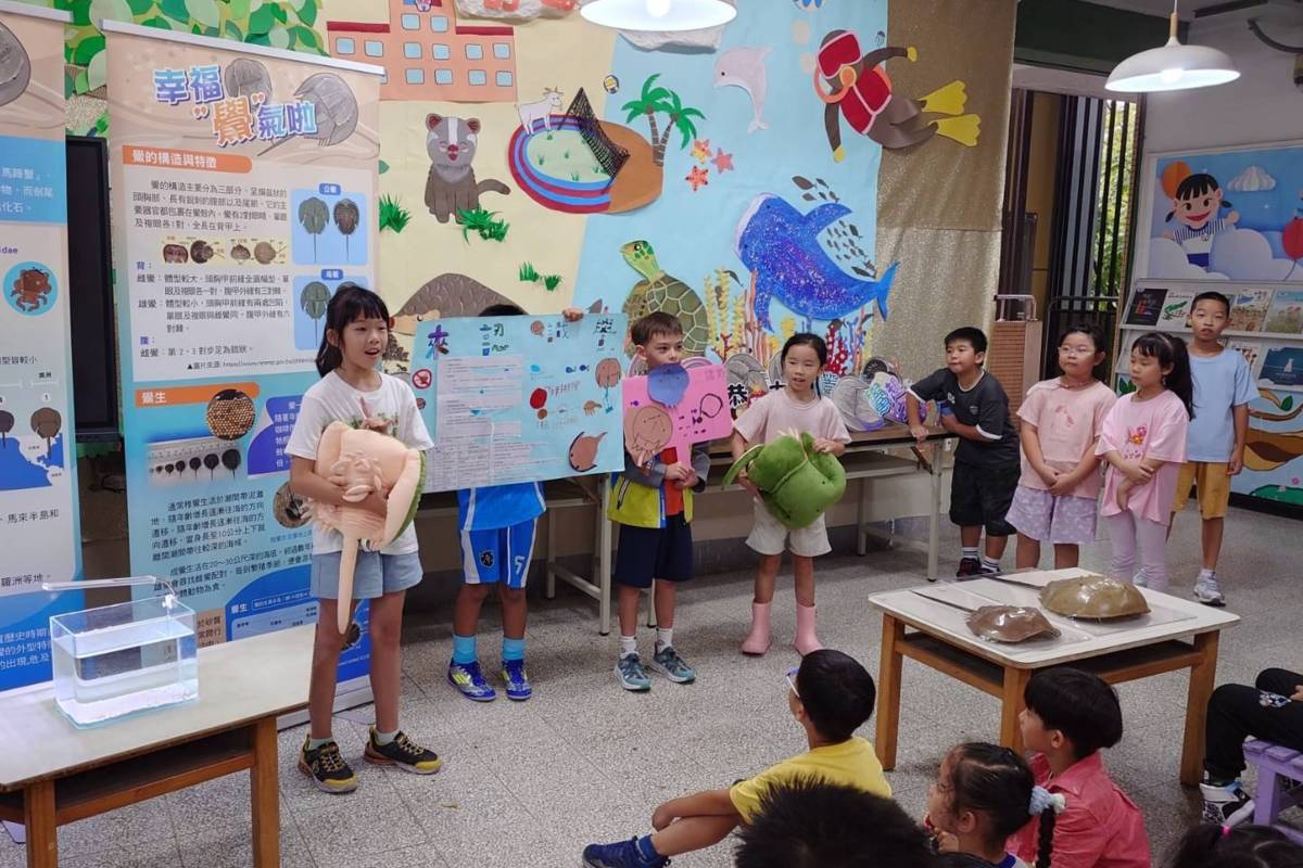 擔任鱟保母的銘傳國小三年級學生化身解說員，為全校學生介紹鱟的構造和特徵
