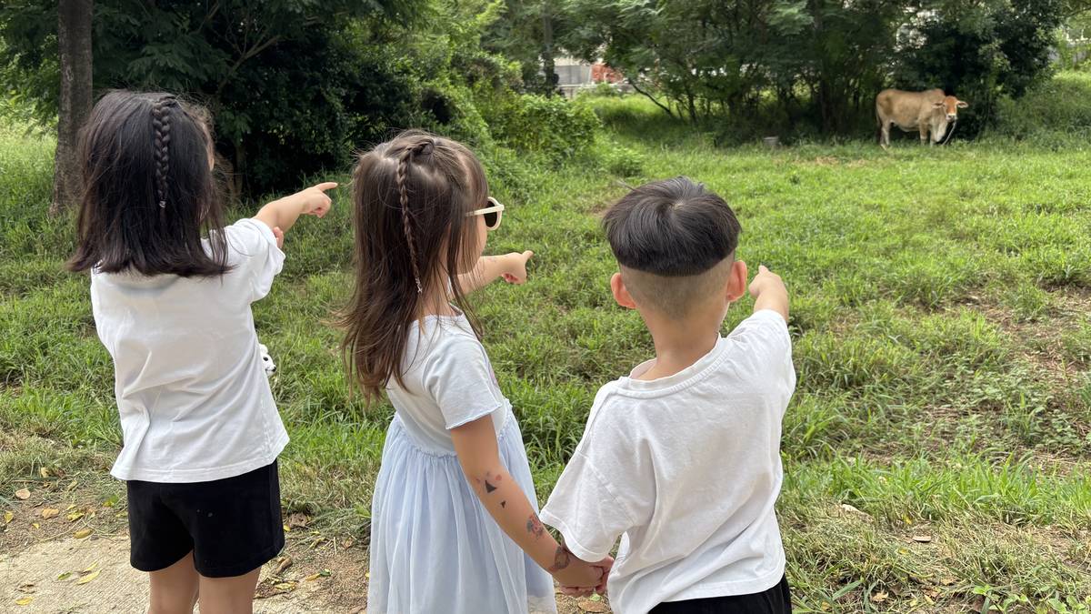 小朋友的語言覺察