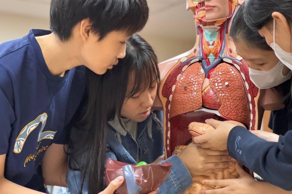 醫學相關課程