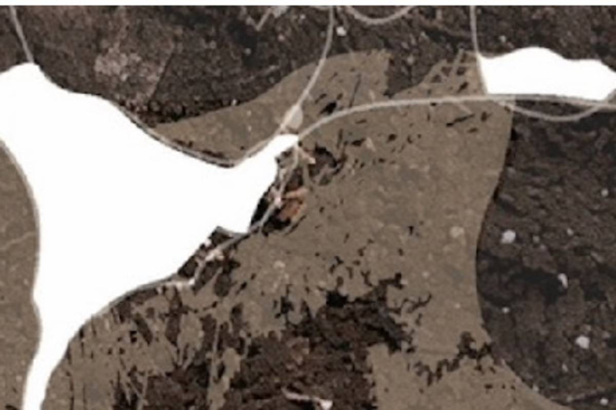 「紋砌刻-南方藝術獎」特展，即日起到10月31日止，在臺東市「伊塔原旅」展出。