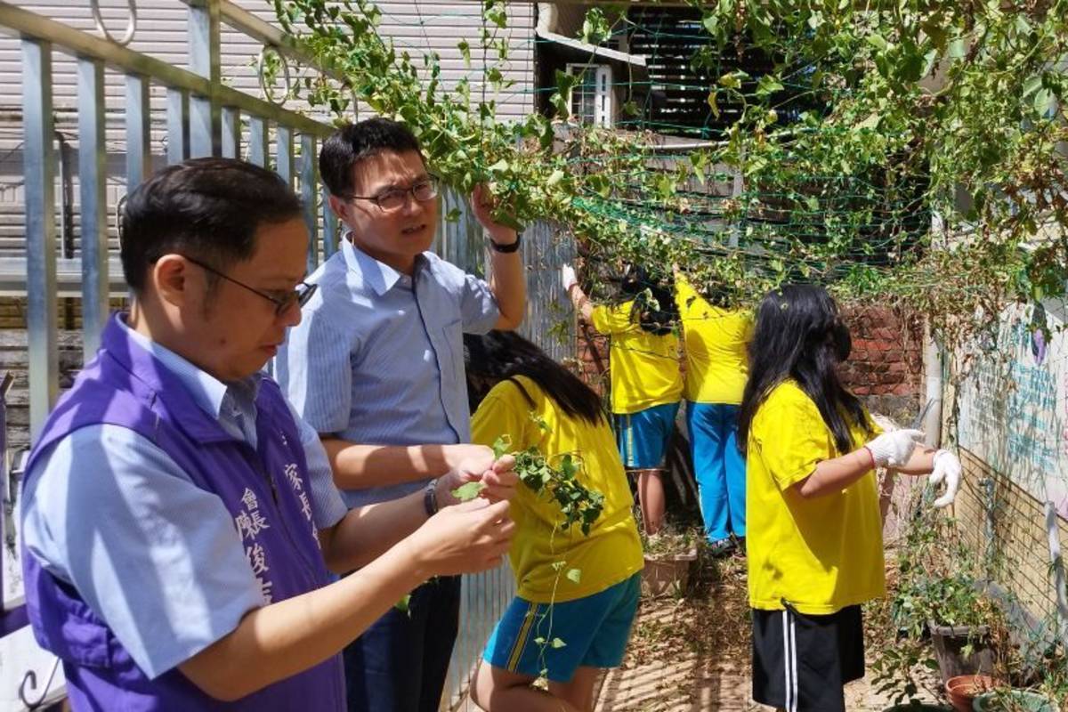 桃園市龍岡國小打造植物友善校園，親師生一起動手移除「小花蔓澤蘭」

 