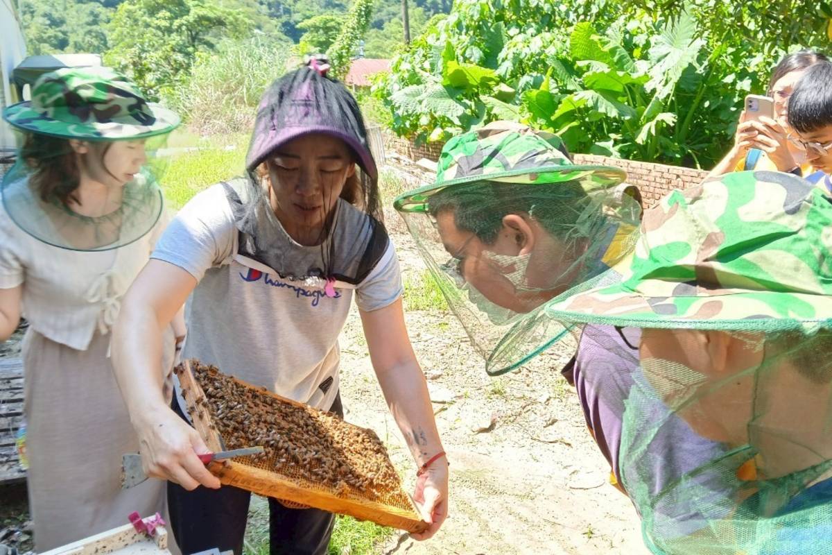 至養蜂場認識蜜蜂(照片由南化國中提供)