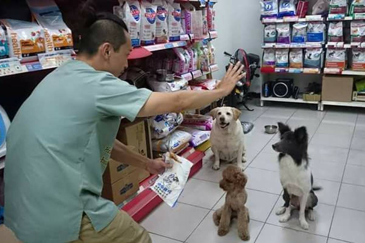 自家土地的小天地，小靜與其他毛寶貝陪伴客人，共享愜意時光