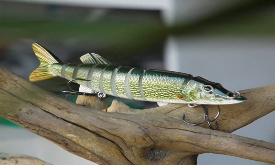 釣魚與永續海洋