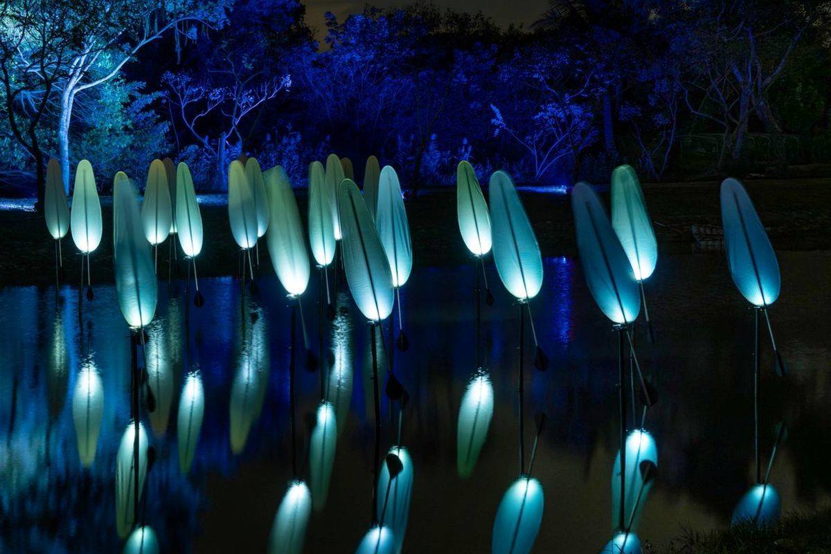 臺北數位藝術節作品，蔡宜婷的《風與自然的樣子》迎著臺北與新北邊界的季風搖曳